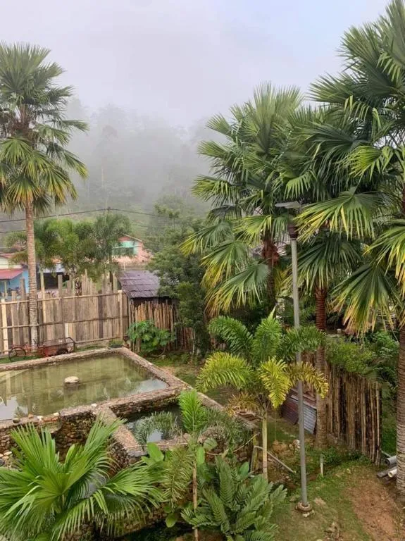 Riverside Palm Inn Sg Lembing