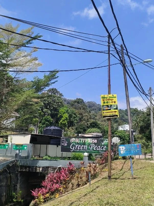 Green Season Cottage